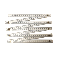 Measuring Ruler