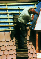 MASC Flexible Roof Ladder